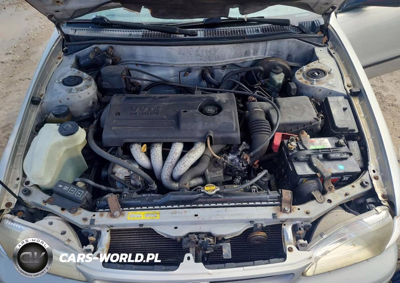 2000 Toyota Corolla Ve VIN:2T1BR12E3YC354433 - 11