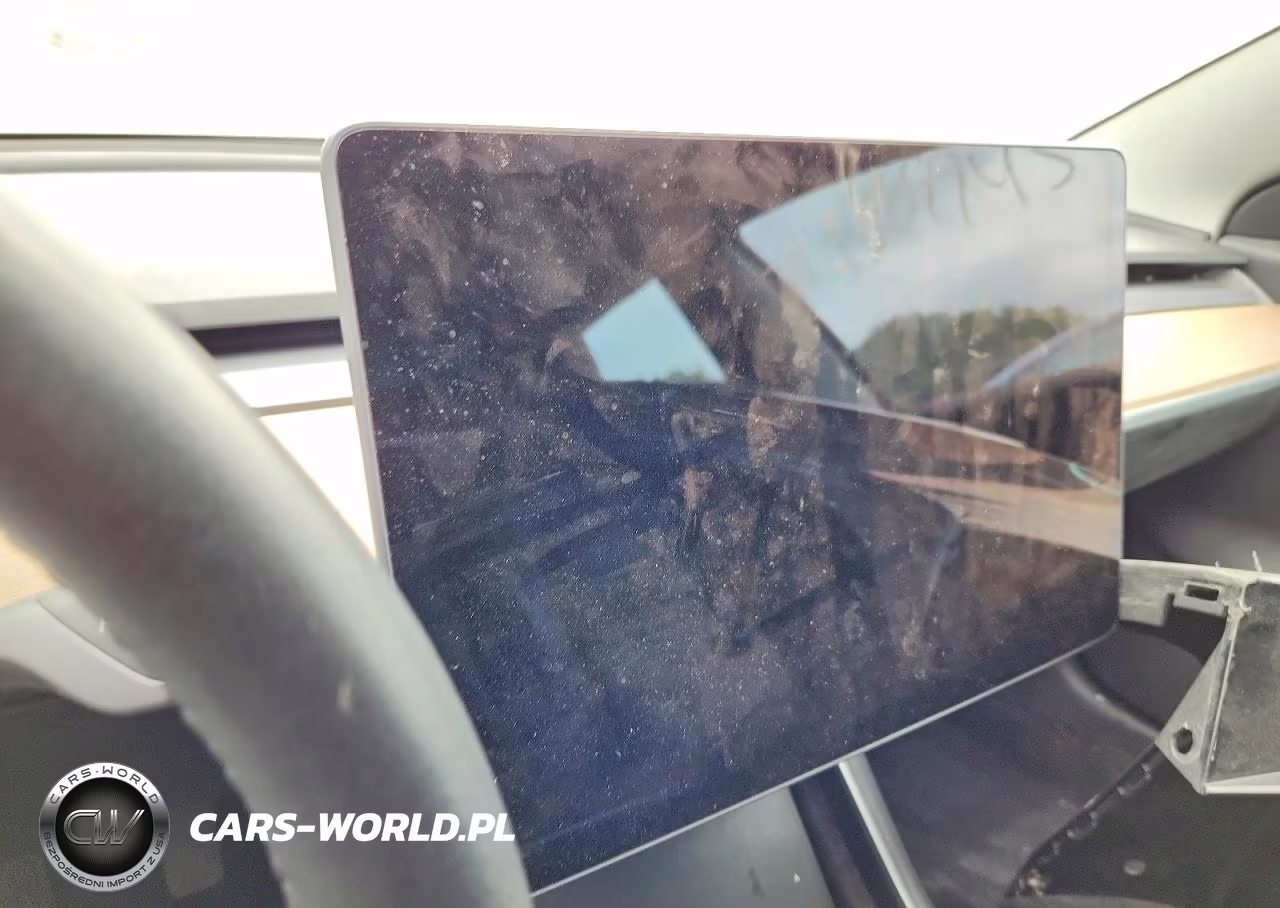 2019 Tesla Model 3 VIN:5YJ3E1EA5KF421089 - 9