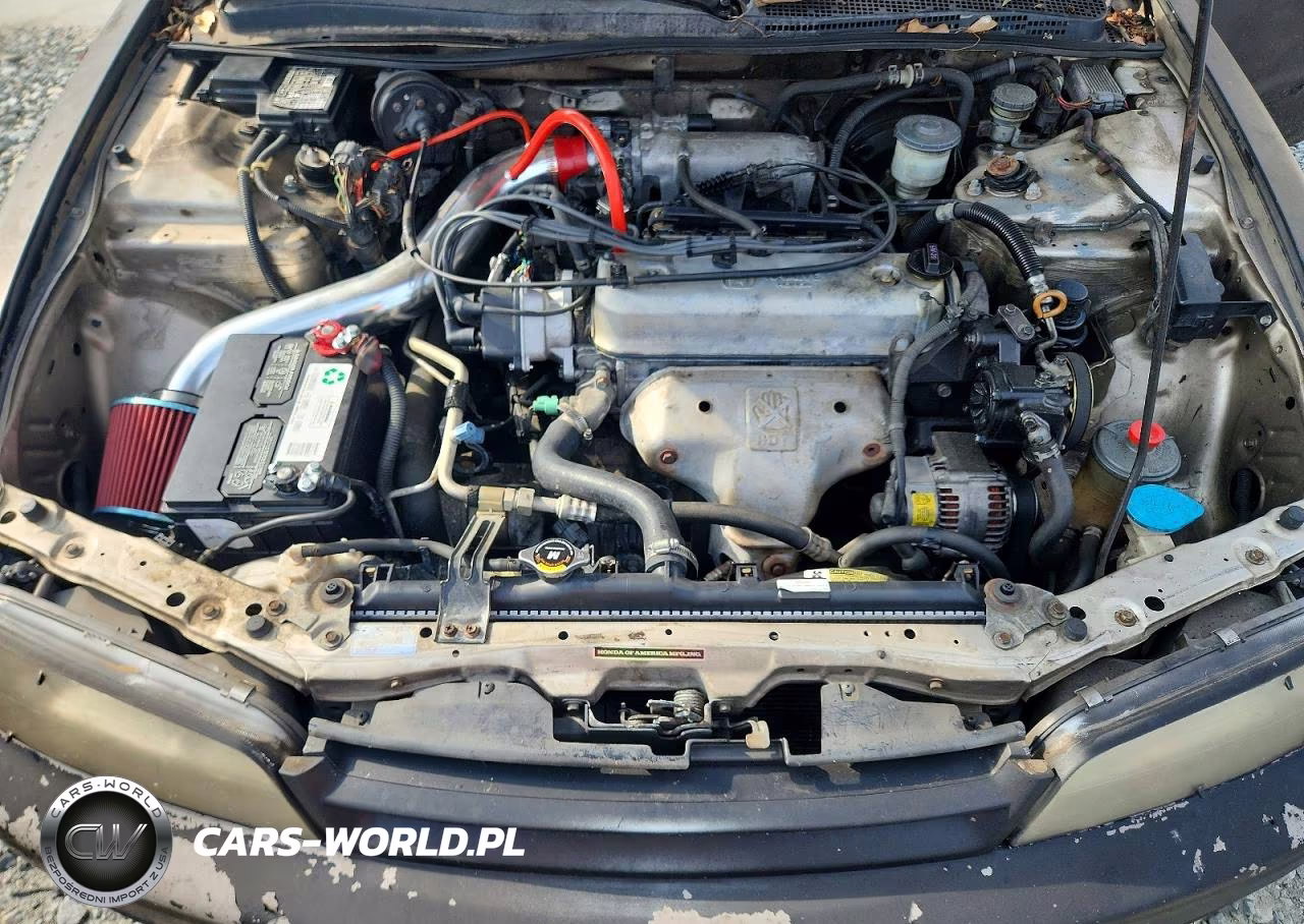 1995 Honda Accord Lx VIN:1HGCD5538SA044151 - 11