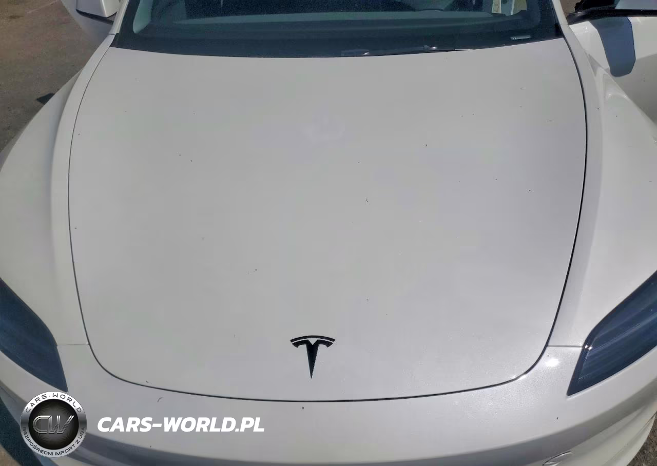 2025 Tesla Model 3 VIN:5YJ3E1EA7SF138287 - 11