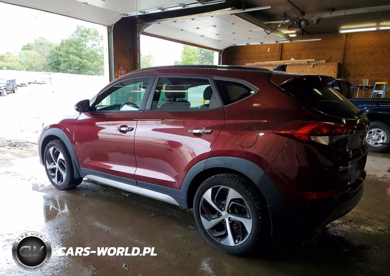 2017 Hyundai Tucson Limited VIN:KM8J3CA26HU322266 - 2