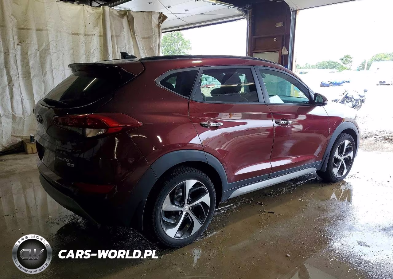 2017 Hyundai Tucson Limited VIN:KM8J3CA26HU322266 - 3