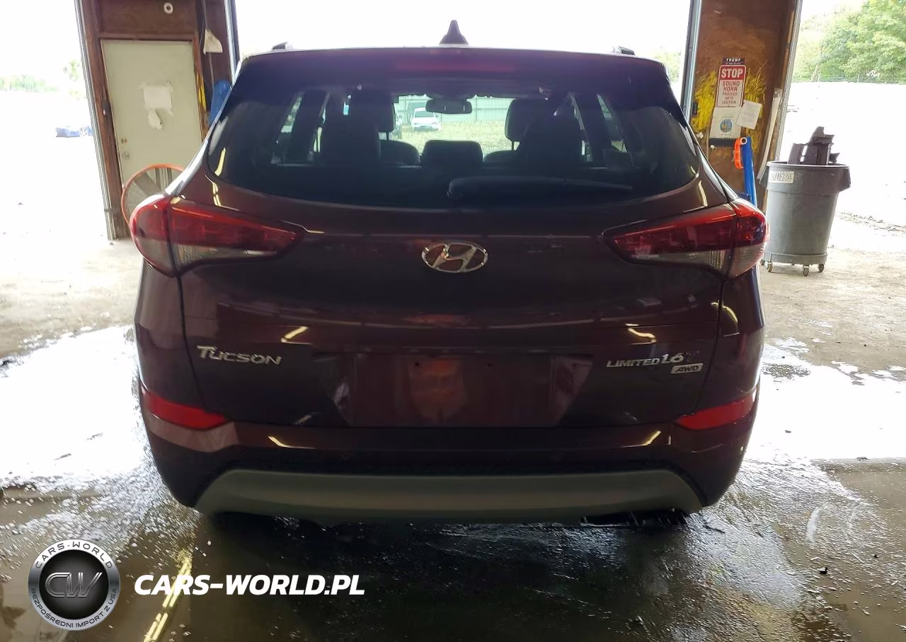 2017 Hyundai Tucson Limited VIN:KM8J3CA26HU322266 - 6