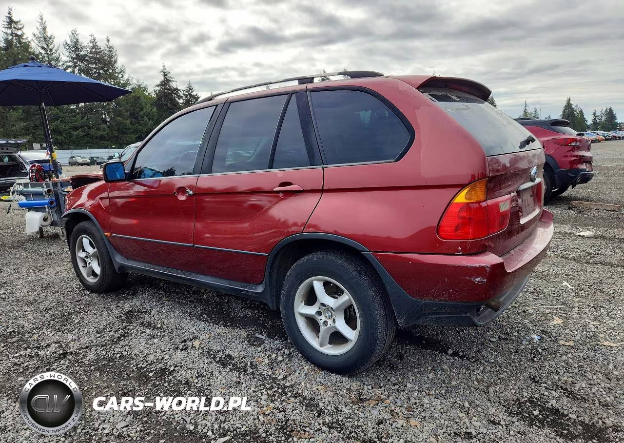 2002 BMW X5 3.0I VIN:5UXFA53522LP30410 - 2