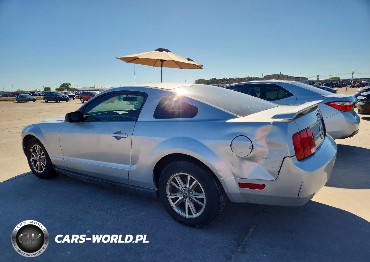 2005 Ford Mustang VIN:1ZVFT80N355249461 - 2