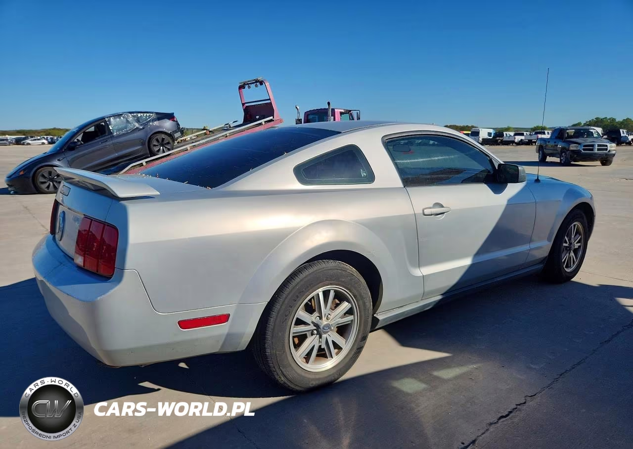 2005 Ford Mustang VIN:1ZVFT80N355249461 - 3