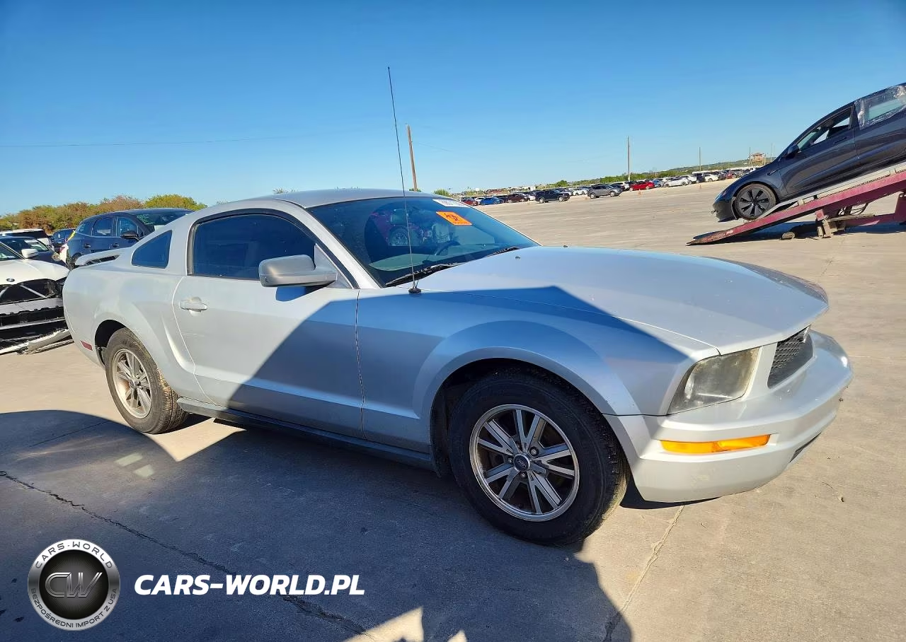 2005 Ford Mustang VIN:1ZVFT80N355249461 - 4