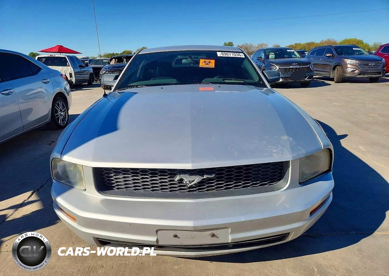 2005 Ford Mustang VIN:1ZVFT80N355249461 - 5
