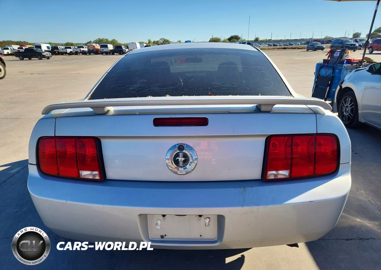 2005 Ford Mustang VIN:1ZVFT80N355249461 - 6