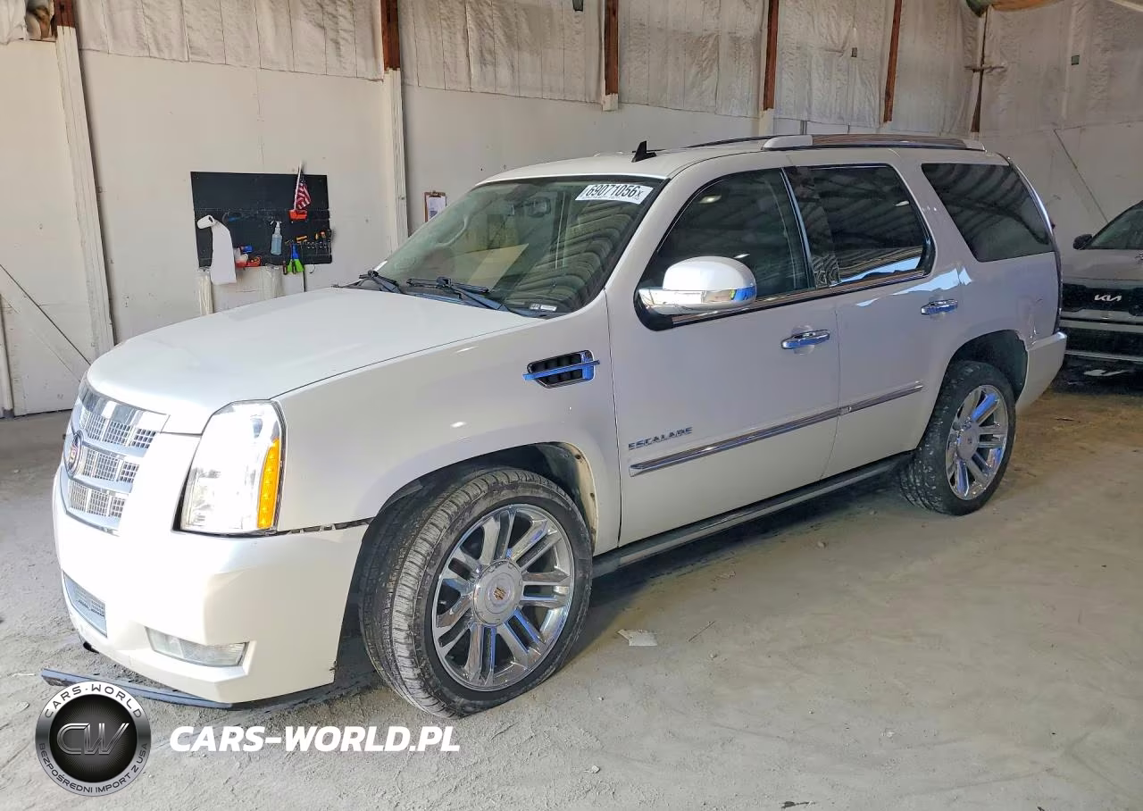 2014 Cadillac Escalade Platinum VIN:1GYS4DEF4ER241493 - 1