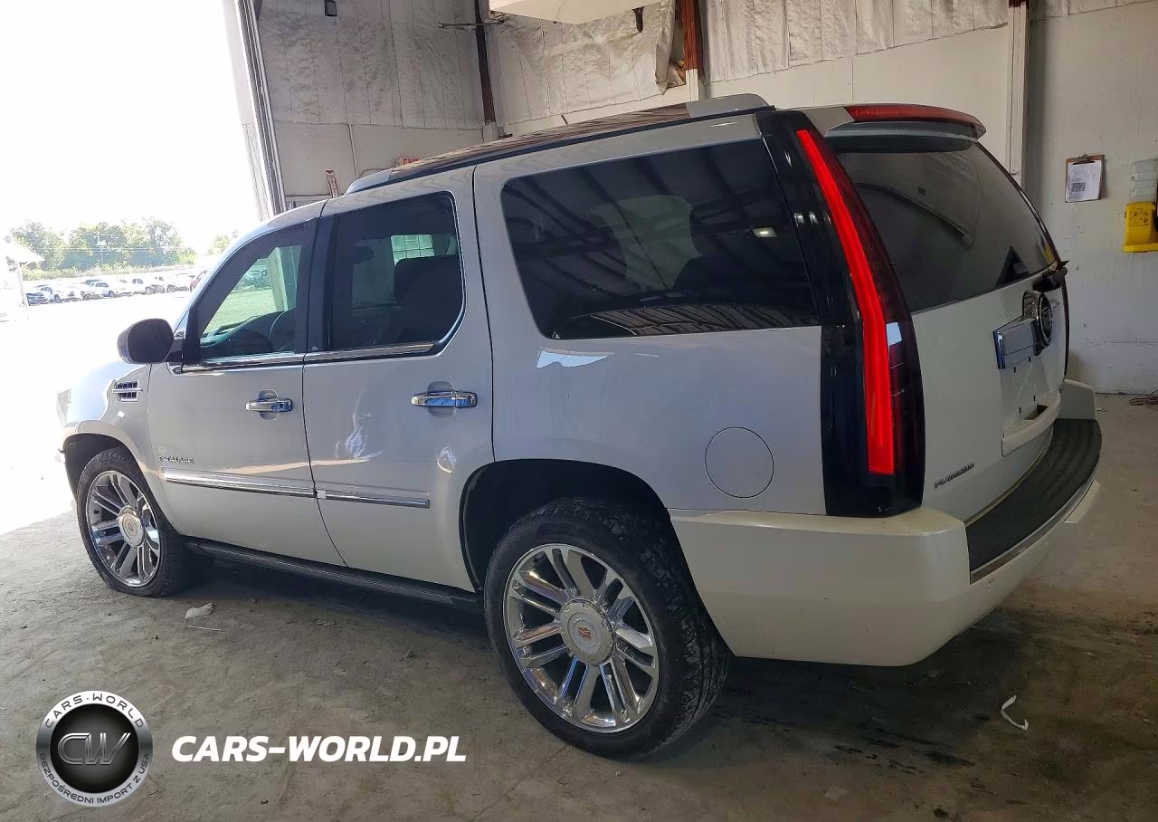 2014 Cadillac Escalade Platinum VIN:1GYS4DEF4ER241493 - 2