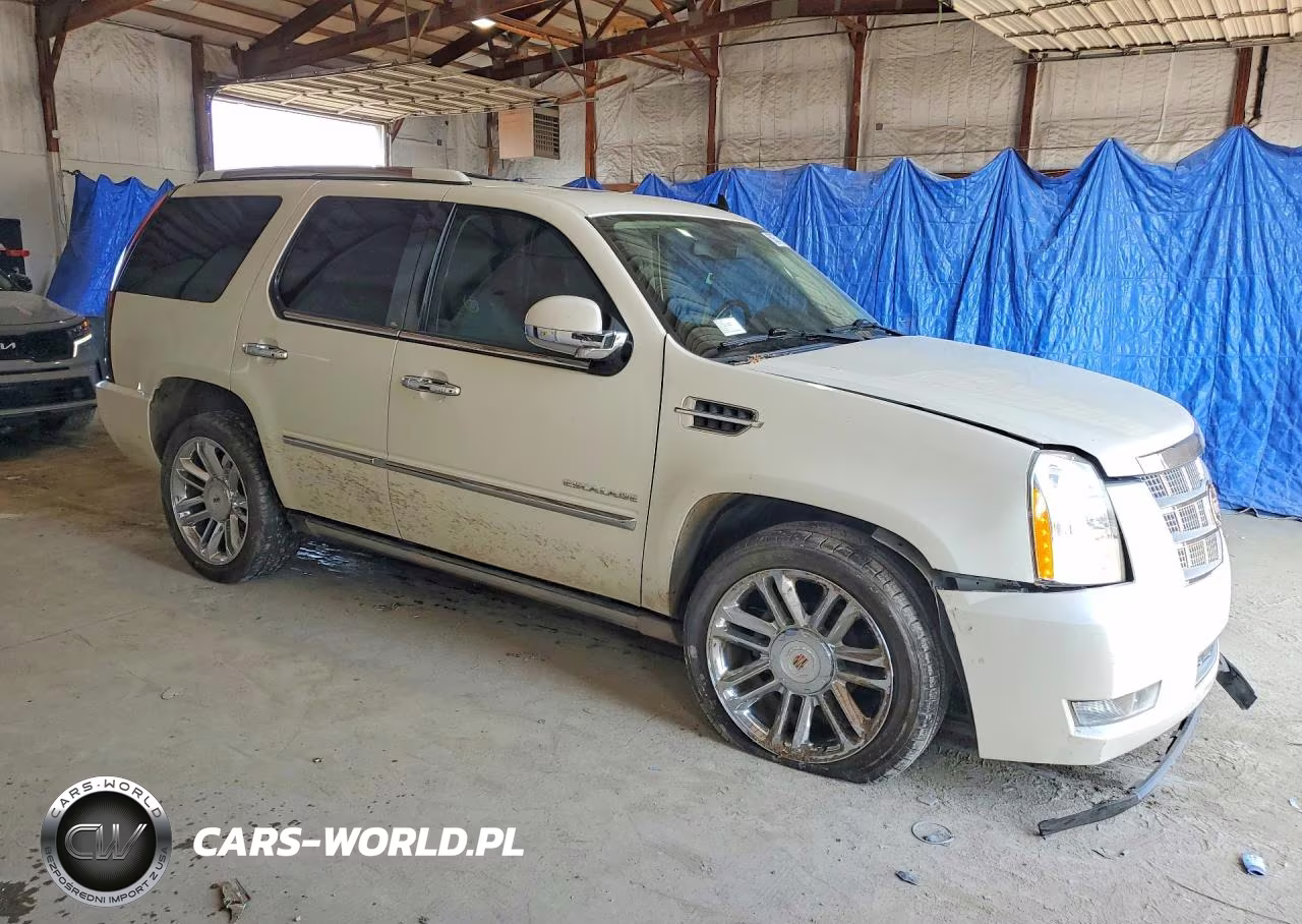 2014 Cadillac Escalade Platinum VIN:1GYS4DEF4ER241493 - 4