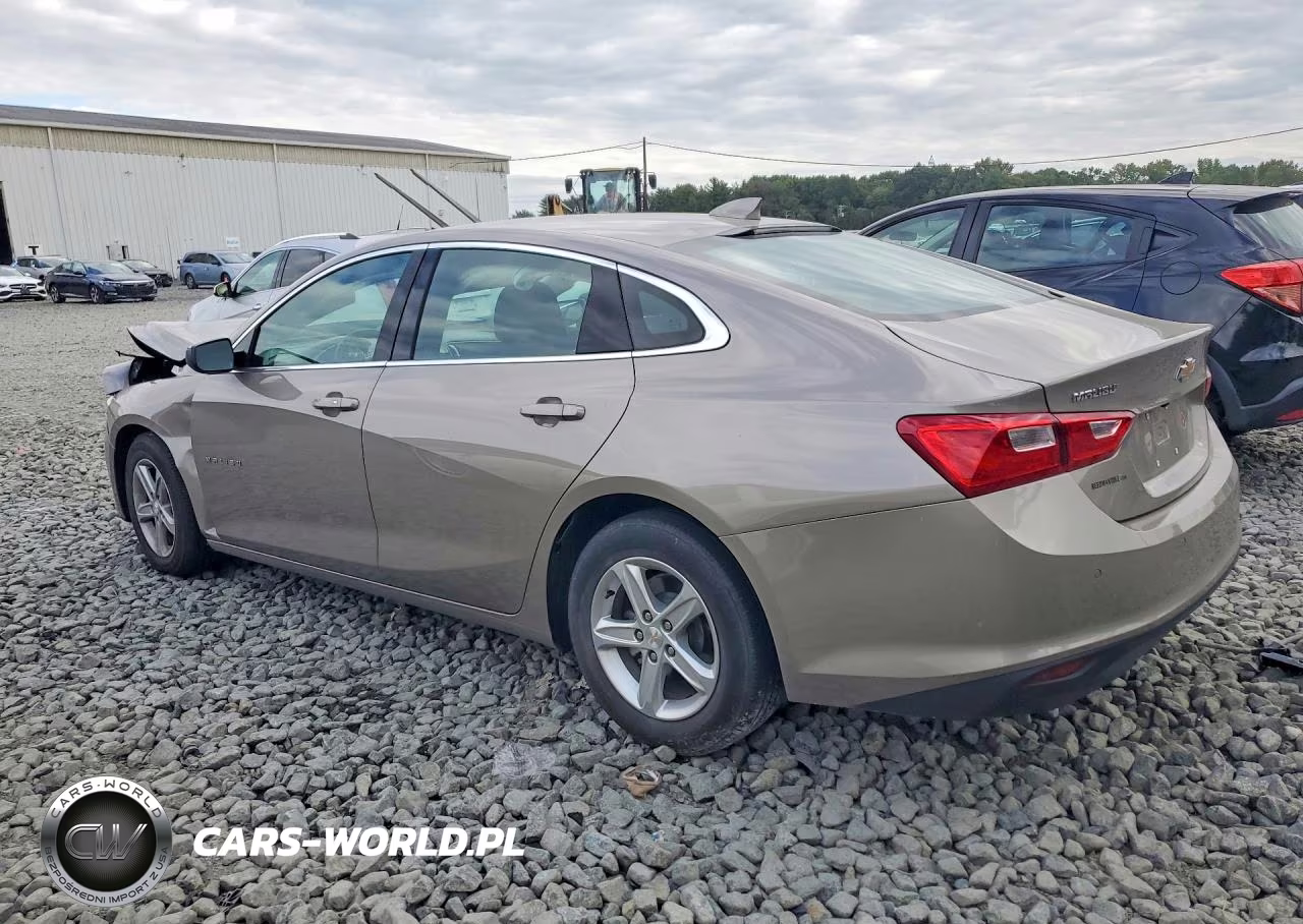 2024 Chevrolet Malibu Lt VIN:1G1ZD5ST1RF214613 - 2