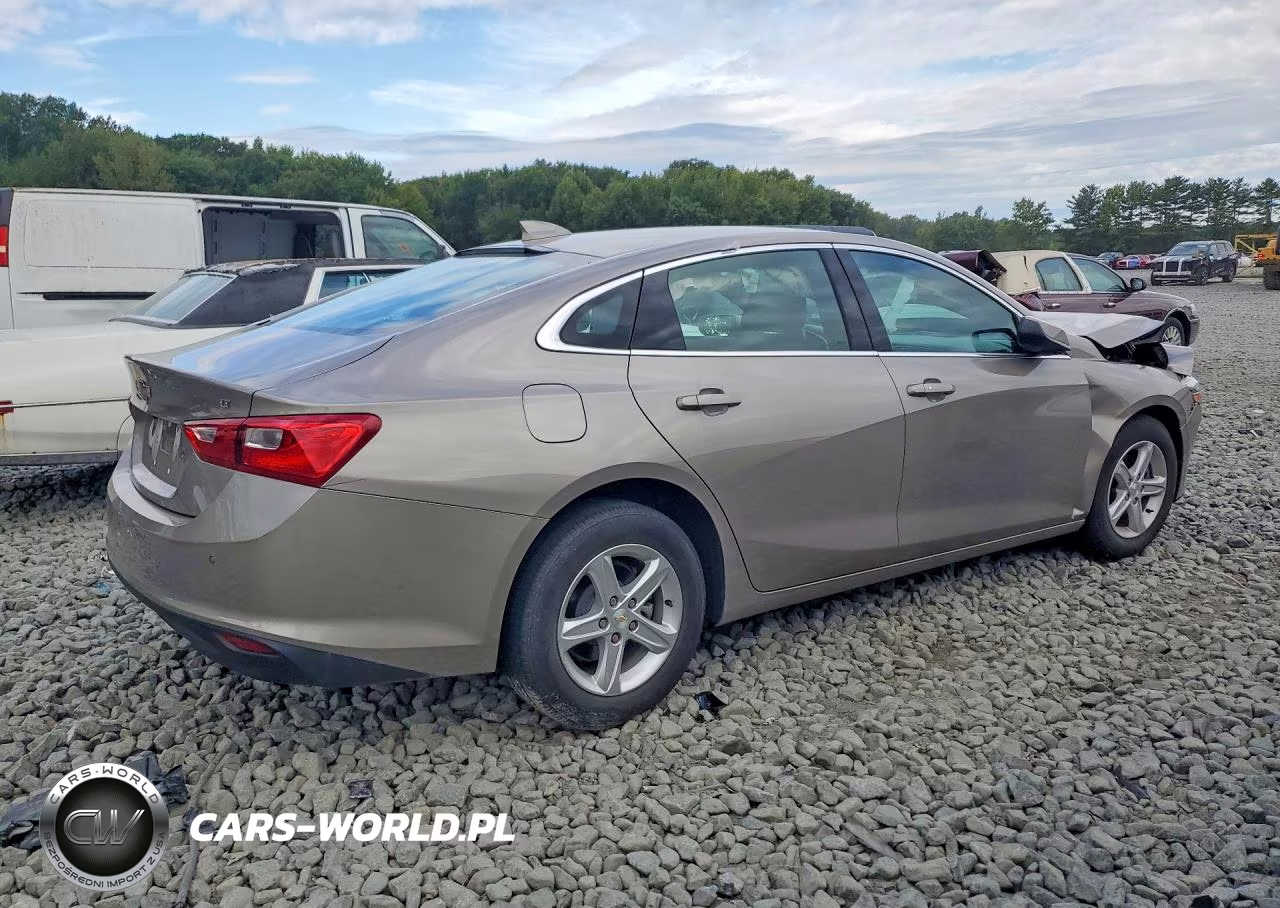 2024 Chevrolet Malibu Lt VIN:1G1ZD5ST1RF214613 - 3