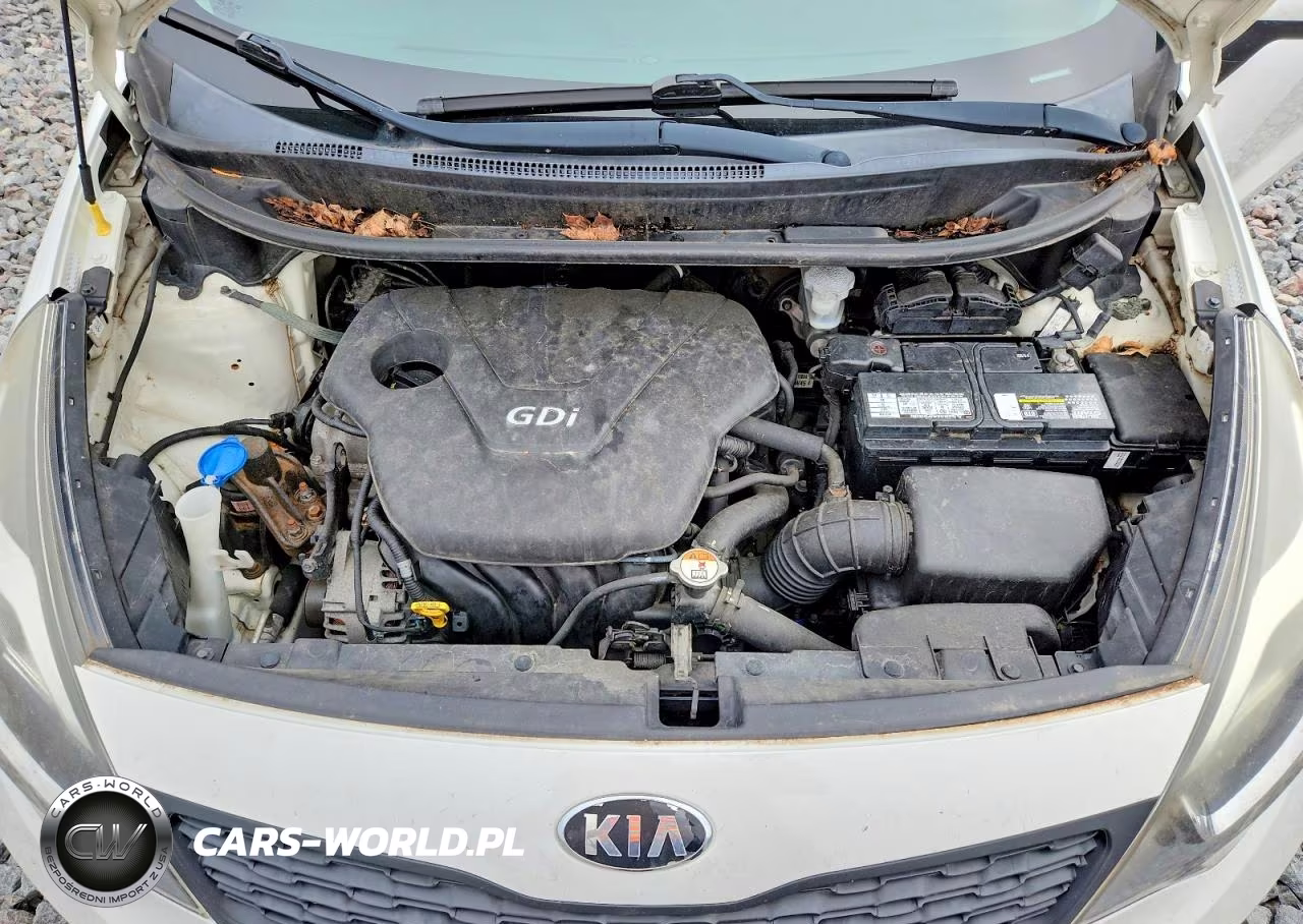 2013 Kia Rio Lx VIN:KNADM4A30D6267189 - 11
