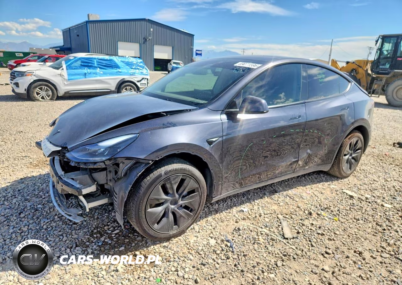 2025 Tesla Model Y VIN:7SAYGDEE3SF294754 - 1