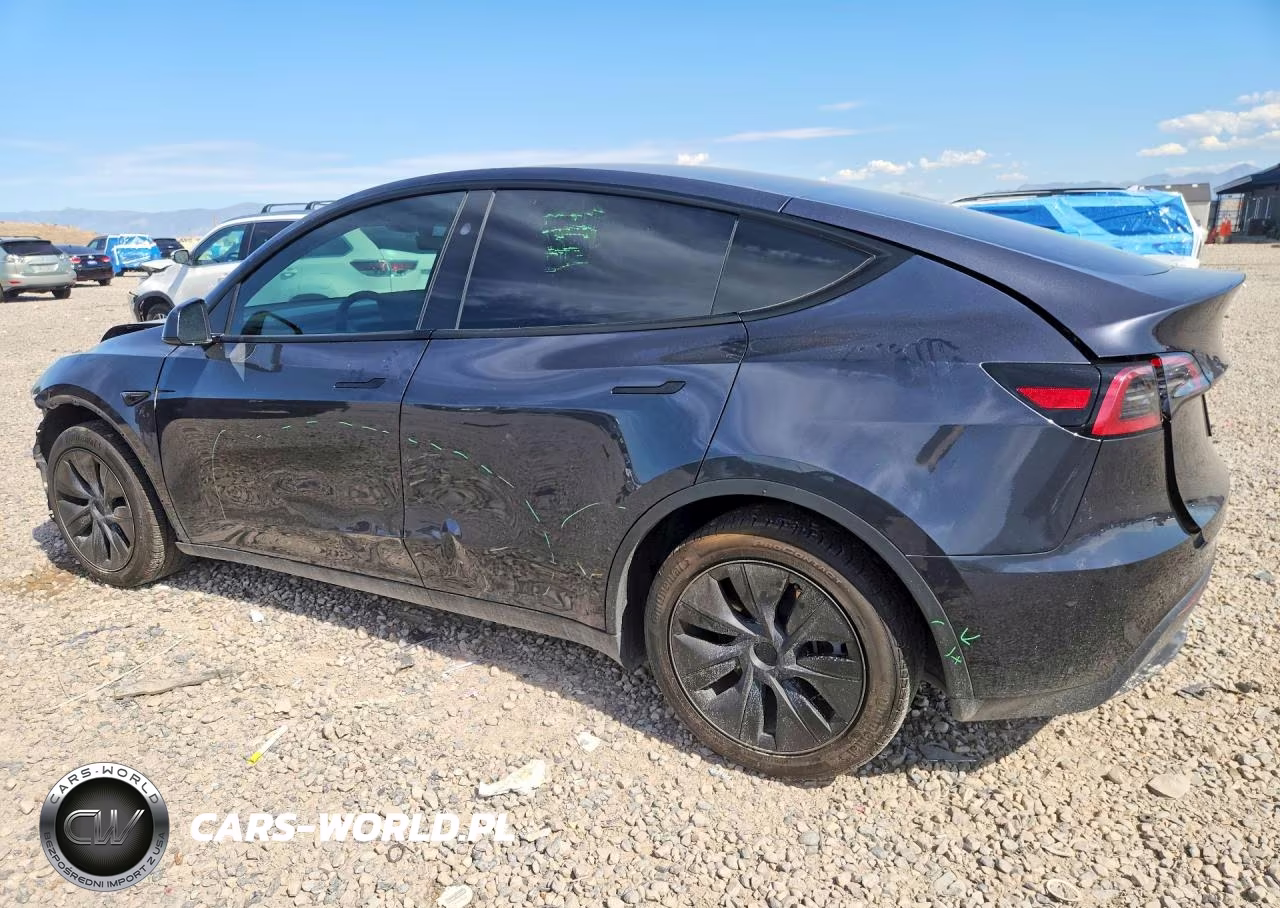 2025 Tesla Model Y VIN:7SAYGDEE3SF294754 - 2