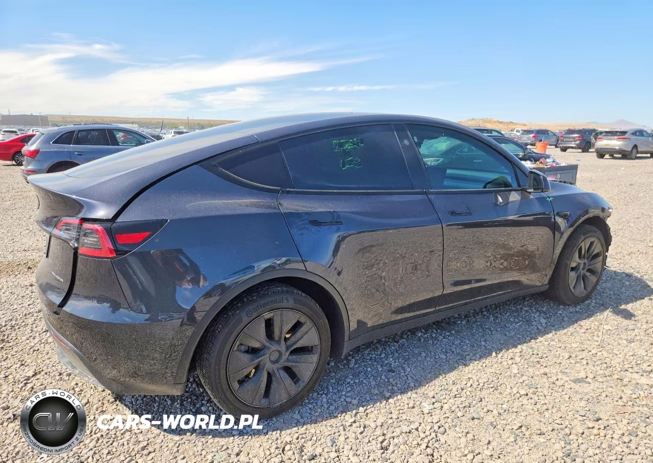2025 Tesla Model Y VIN:7SAYGDEE3SF294754 - 3