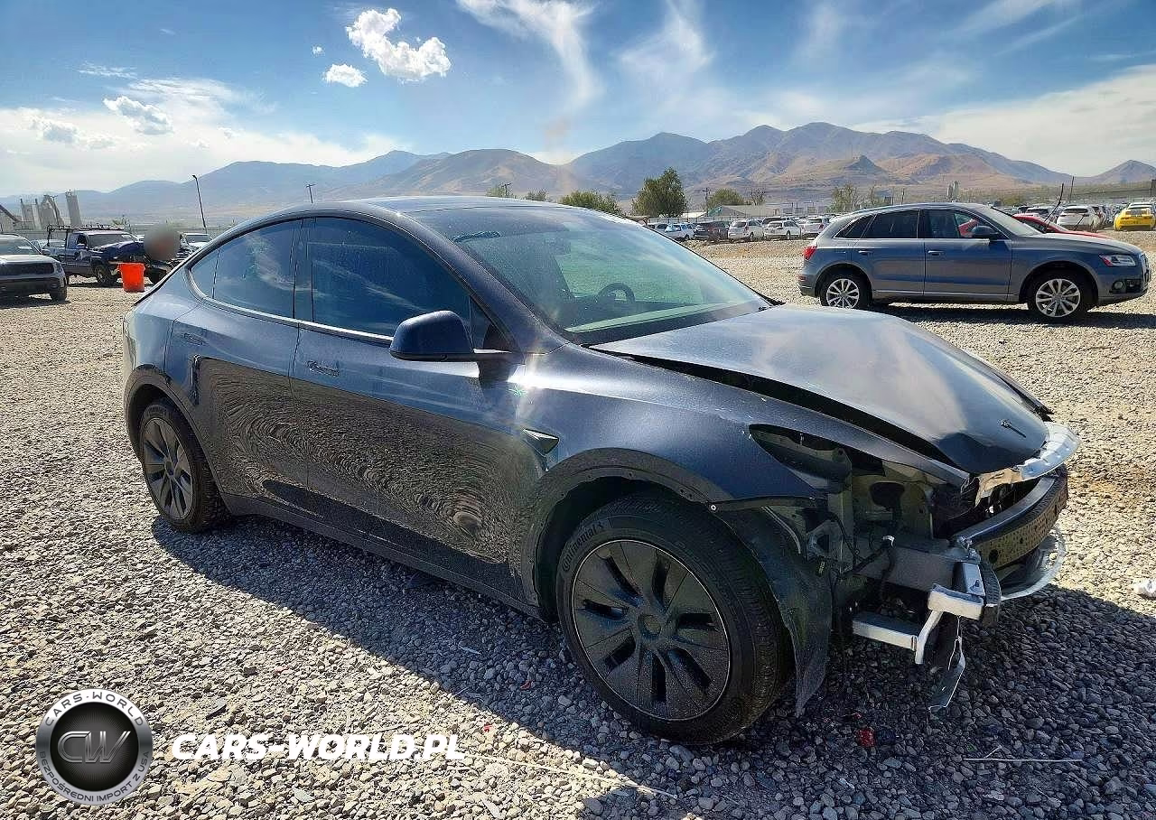 2025 Tesla Model Y VIN:7SAYGDEE3SF294754 - 4