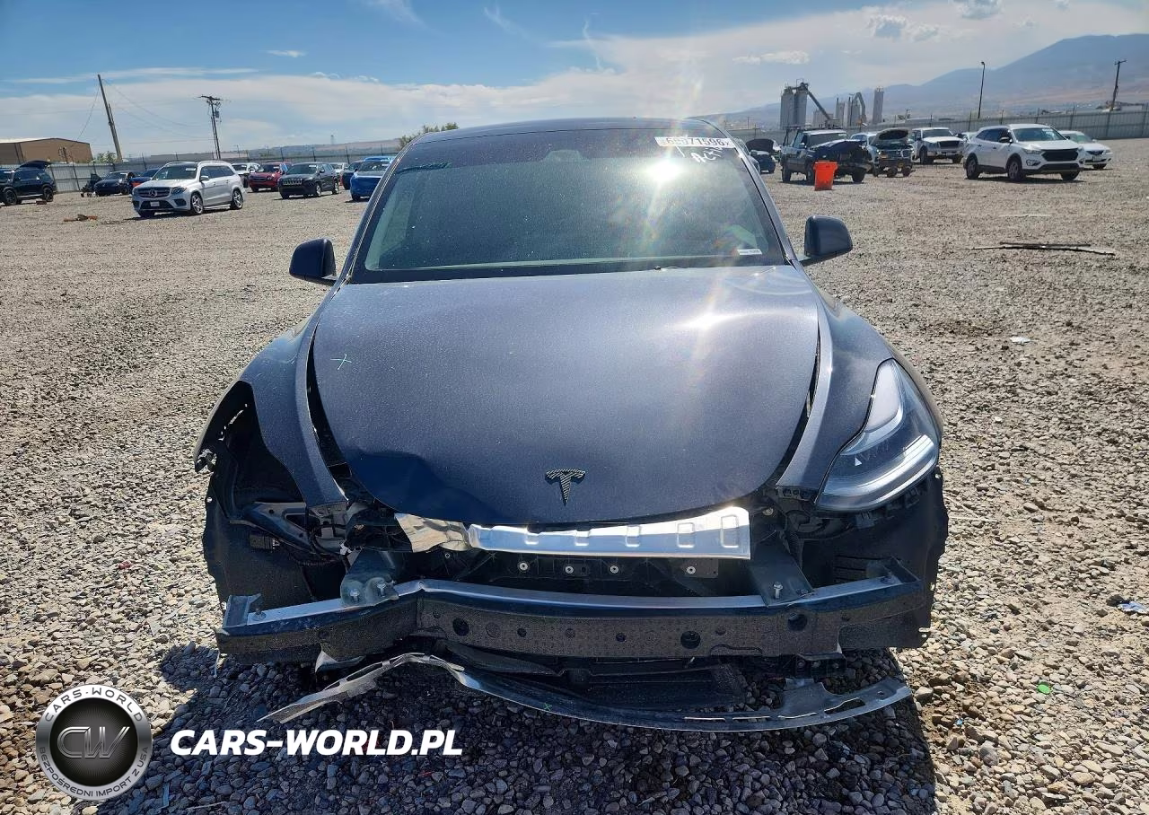 2025 Tesla Model Y VIN:7SAYGDEE3SF294754 - 5