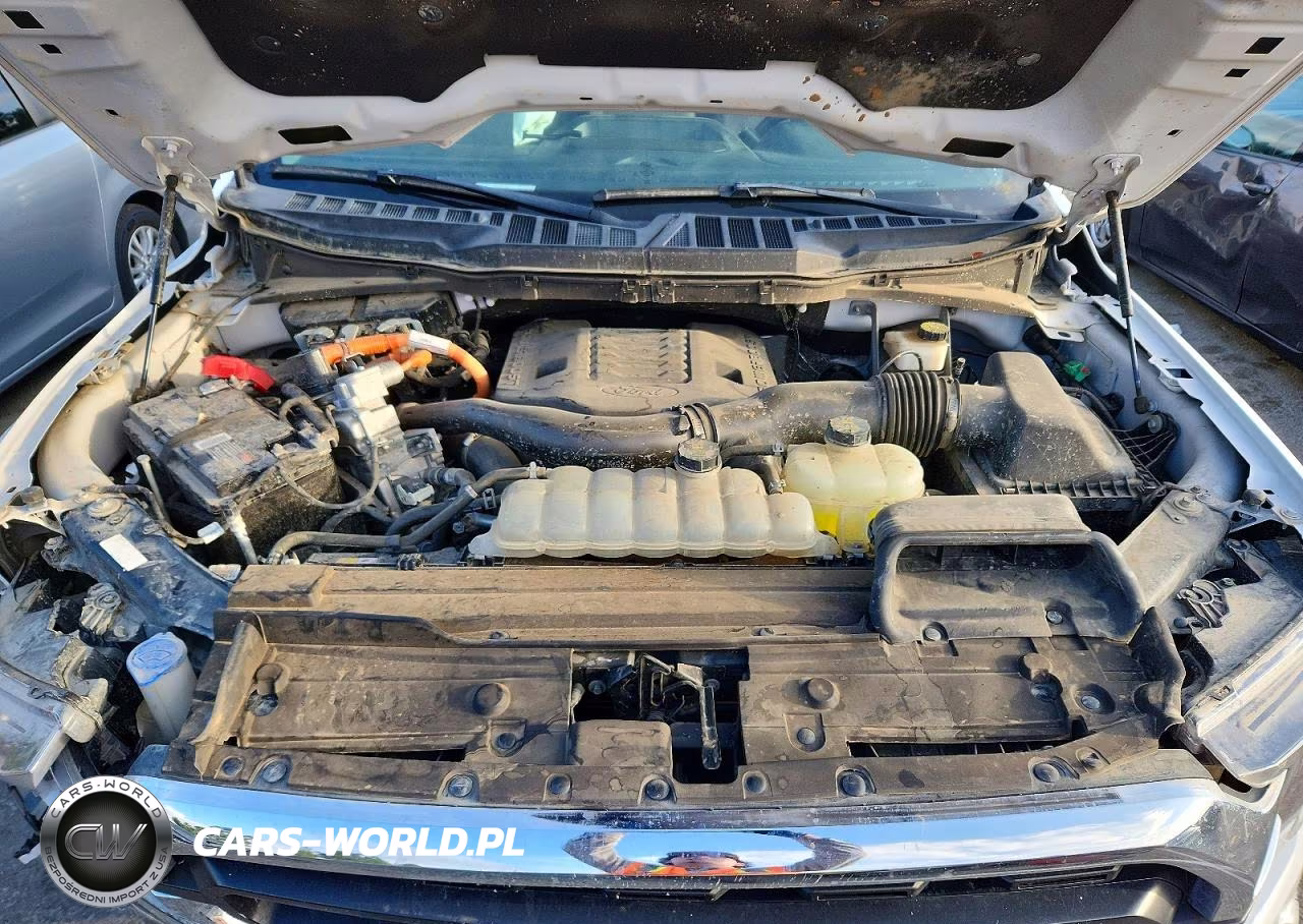 2023 Ford F150 Supercrew VIN:1FTFW1ED3PFB78535 - 11