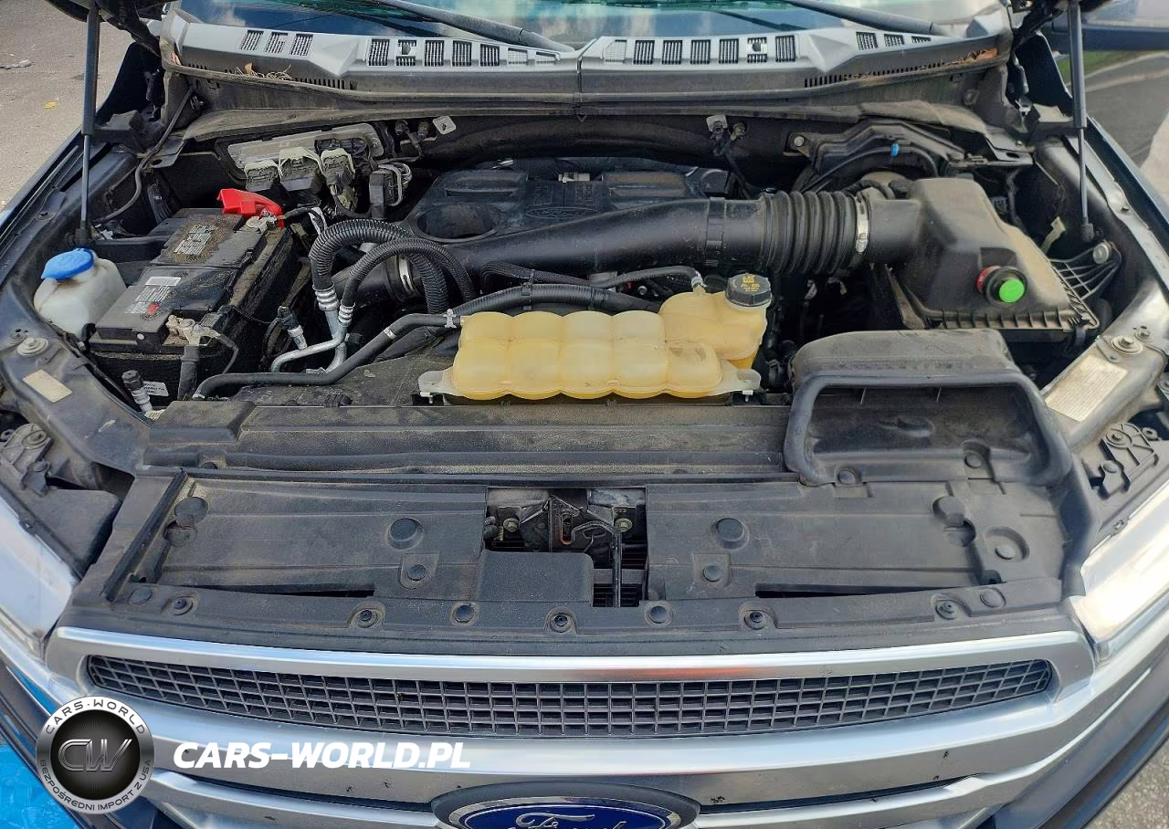 2020 Ford F150 Supercrew VIN:1FTFW1E11LFA60810 - 11