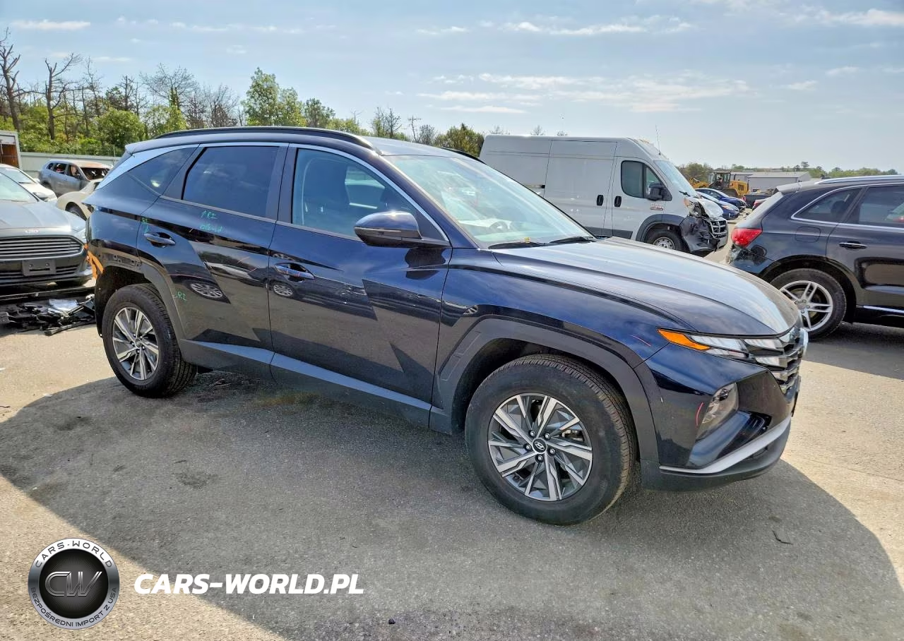 2022 Hyundai Tucson Blue VIN:KM8JBCA15NU020182 - 4