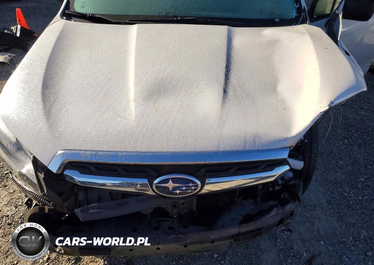 2017 Subaru Forester 2.5I VIN:JF2SJABC8HH809991 - 12
