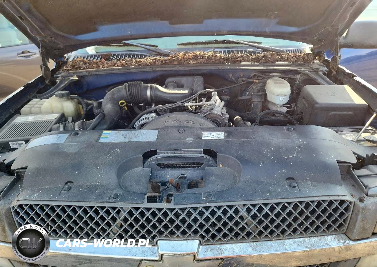 2003 Chevrolet Silverado K1500 VIN:1GCEK14X73Z352487 - 11