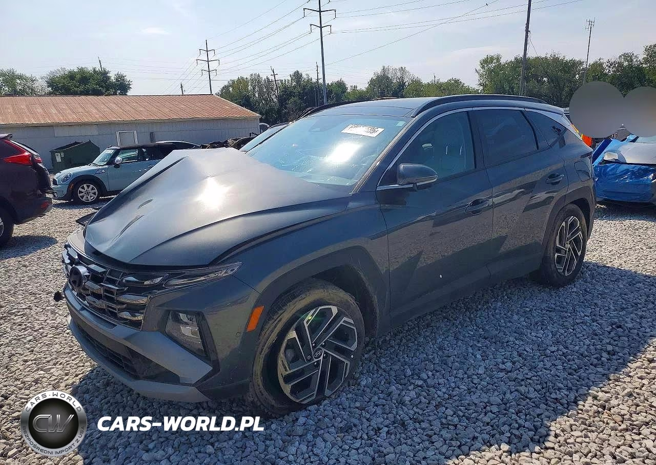 2025 Hyundai Tucson Limited VIN:KM8JEDD13SU325474 - 1