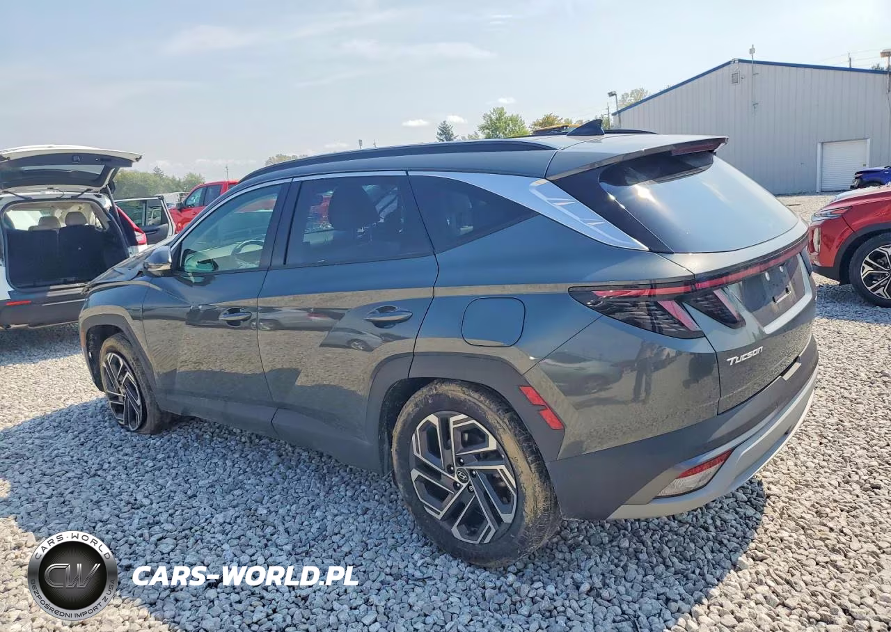 2025 Hyundai Tucson Limited VIN:KM8JEDD13SU325474 - 2