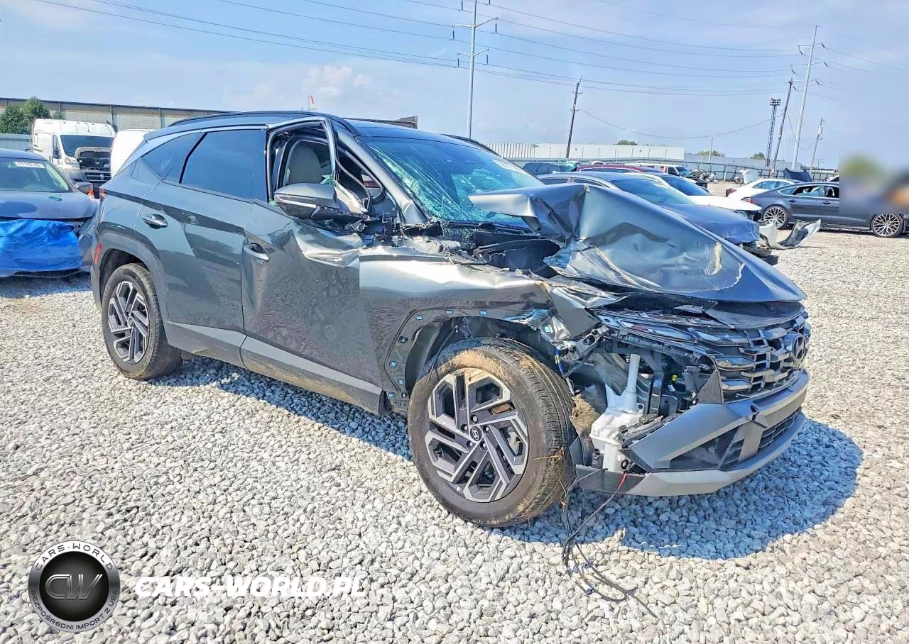 2025 Hyundai Tucson Limited VIN:KM8JEDD13SU325474 - 4