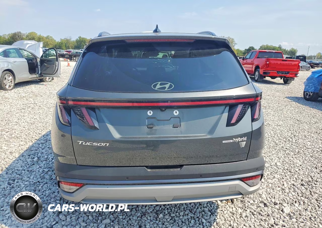 2025 Hyundai Tucson Limited VIN:KM8JEDD13SU325474 - 6