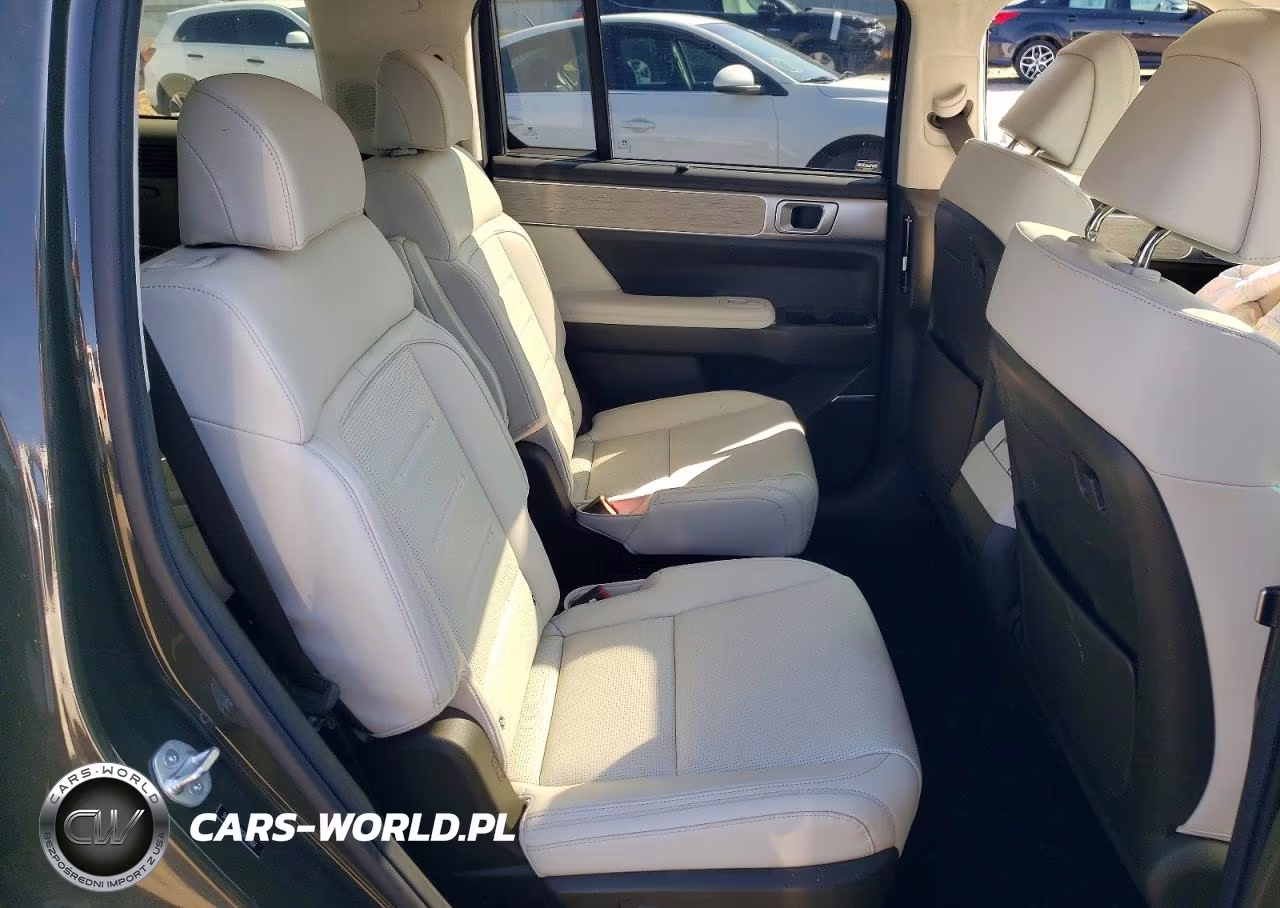 2025 Hyundai Santa Fe Calligraphy VIN:5NMP5DG14SH029607 - 11