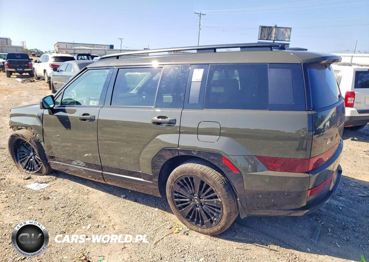 2025 Hyundai Santa Fe Calligraphy VIN:5NMP5DG14SH029607 - 2