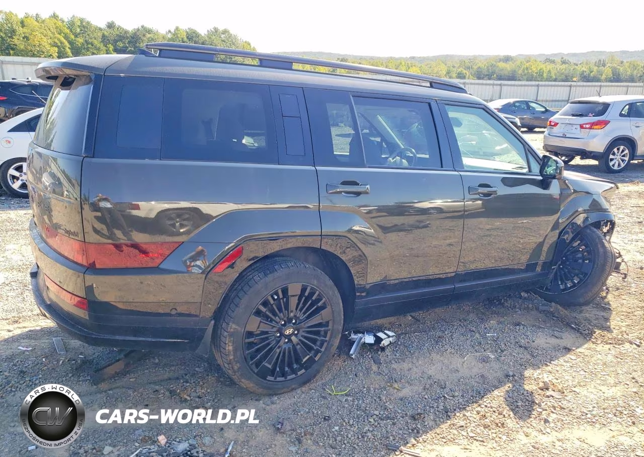 2025 Hyundai Santa Fe Calligraphy VIN:5NMP5DG14SH029607 - 3