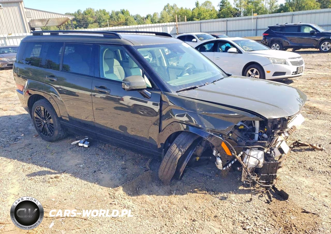 2025 Hyundai Santa Fe Calligraphy VIN:5NMP5DG14SH029607 - 4