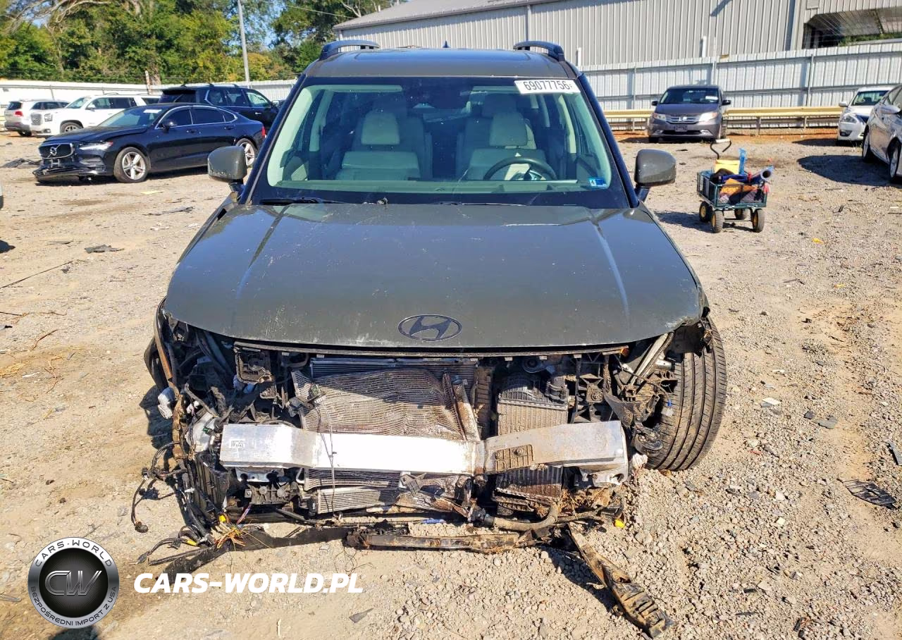 2025 Hyundai Santa Fe Calligraphy VIN:5NMP5DG14SH029607 - 5