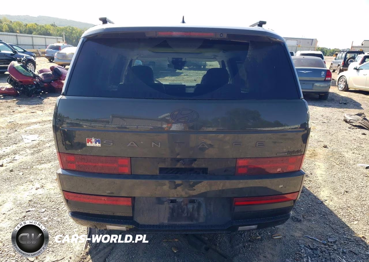 2025 Hyundai Santa Fe Calligraphy VIN:5NMP5DG14SH029607 - 6