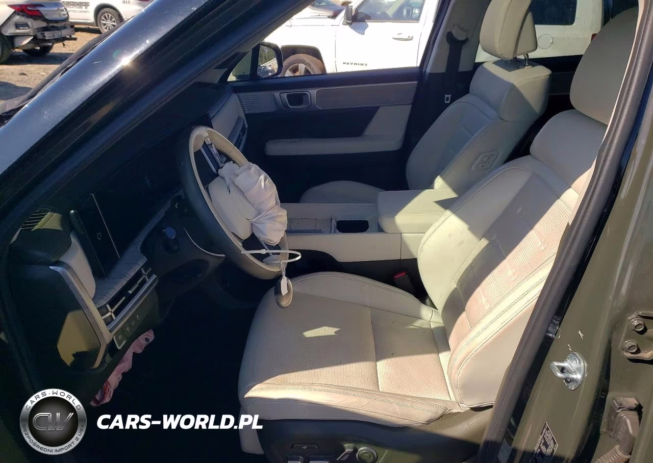 2025 Hyundai Santa Fe Calligraphy VIN:5NMP5DG14SH029607 - 7