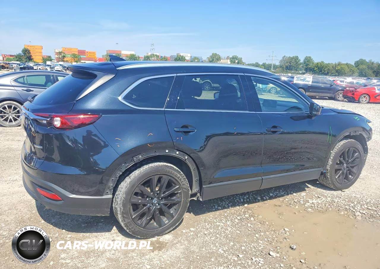 2022 Mazda Cx-9 Touring Plus VIN:JM3TCBAY1N0618771 - 3