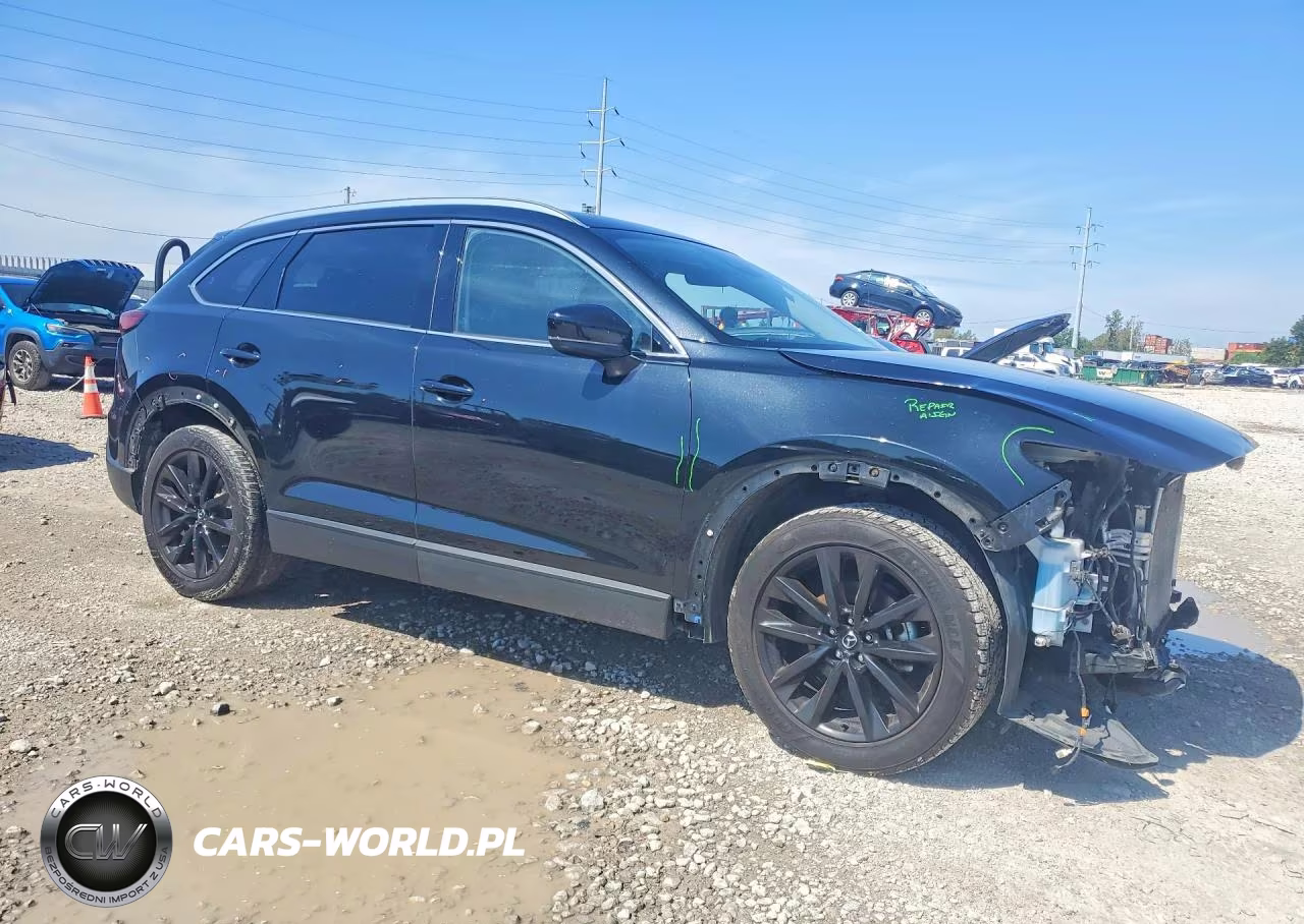 2022 Mazda Cx-9 Touring Plus VIN:JM3TCBAY1N0618771 - 4