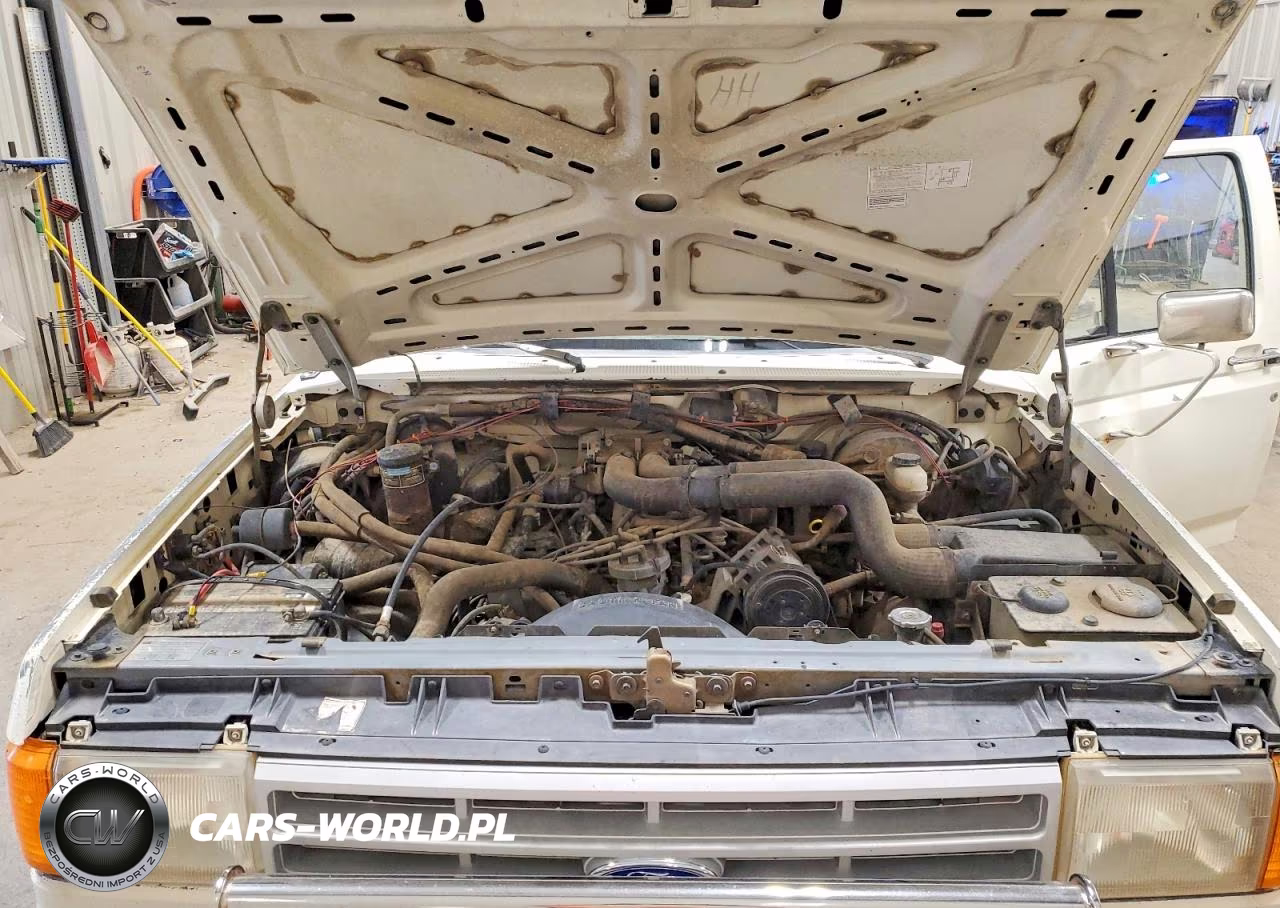 1991 Ford F250 VIN:1FTHX26G0MKA34271 - 11