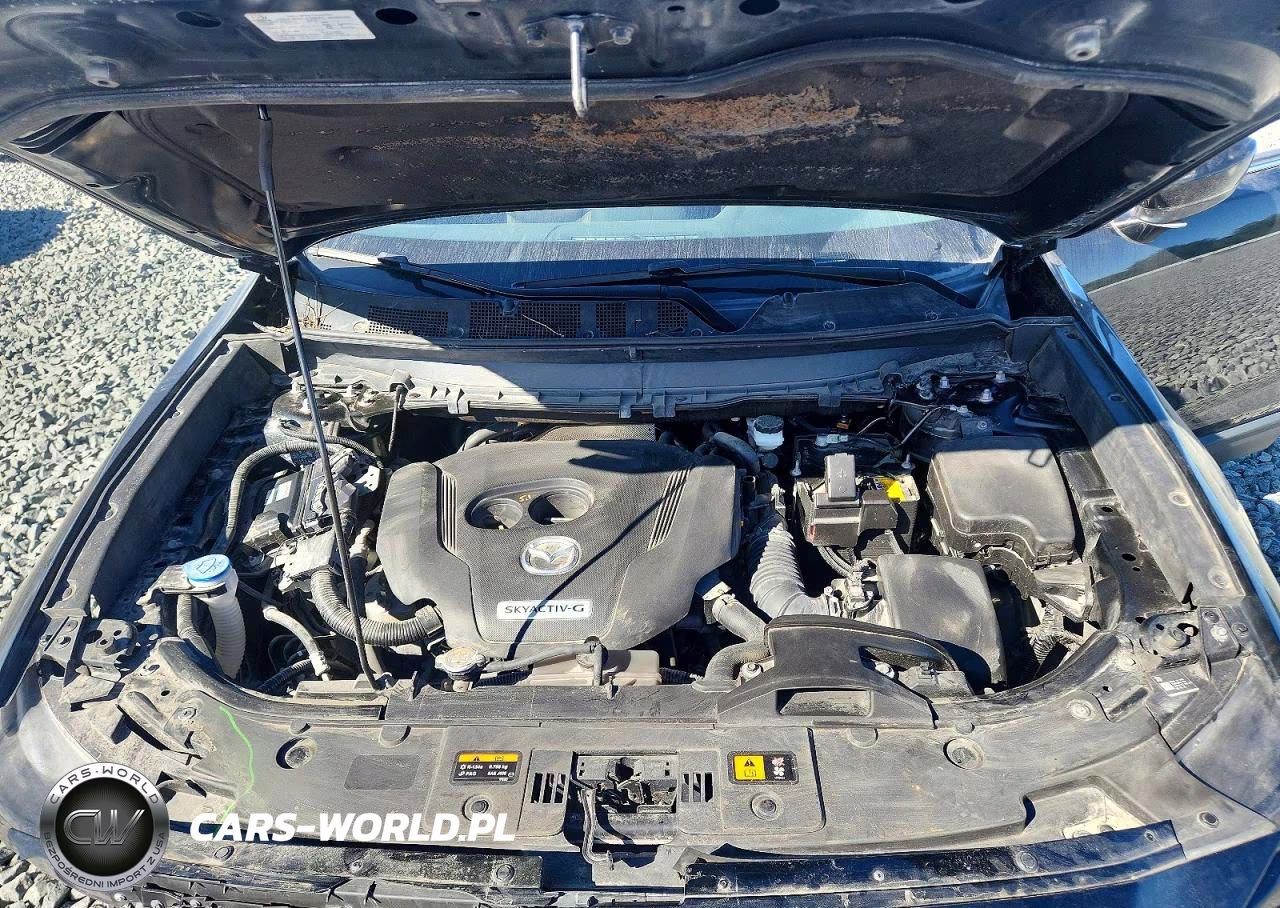 2020 Mazda Cx-9 Sport VIN:JM3TCBBY6L0408372 - 12