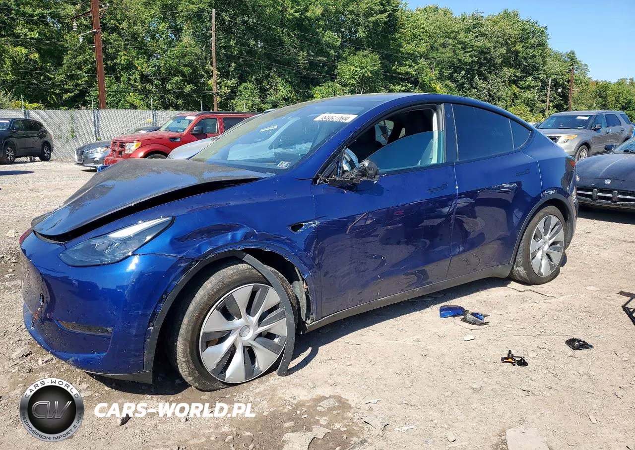 2023 Tesla Model Y VIN:7SAYGDEE5PF767335 - 1