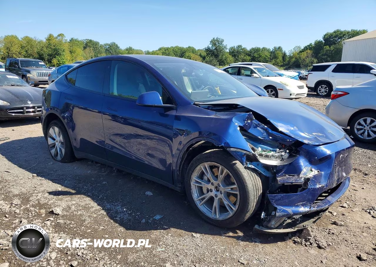 2023 Tesla Model Y VIN:7SAYGDEE5PF767335 - 4