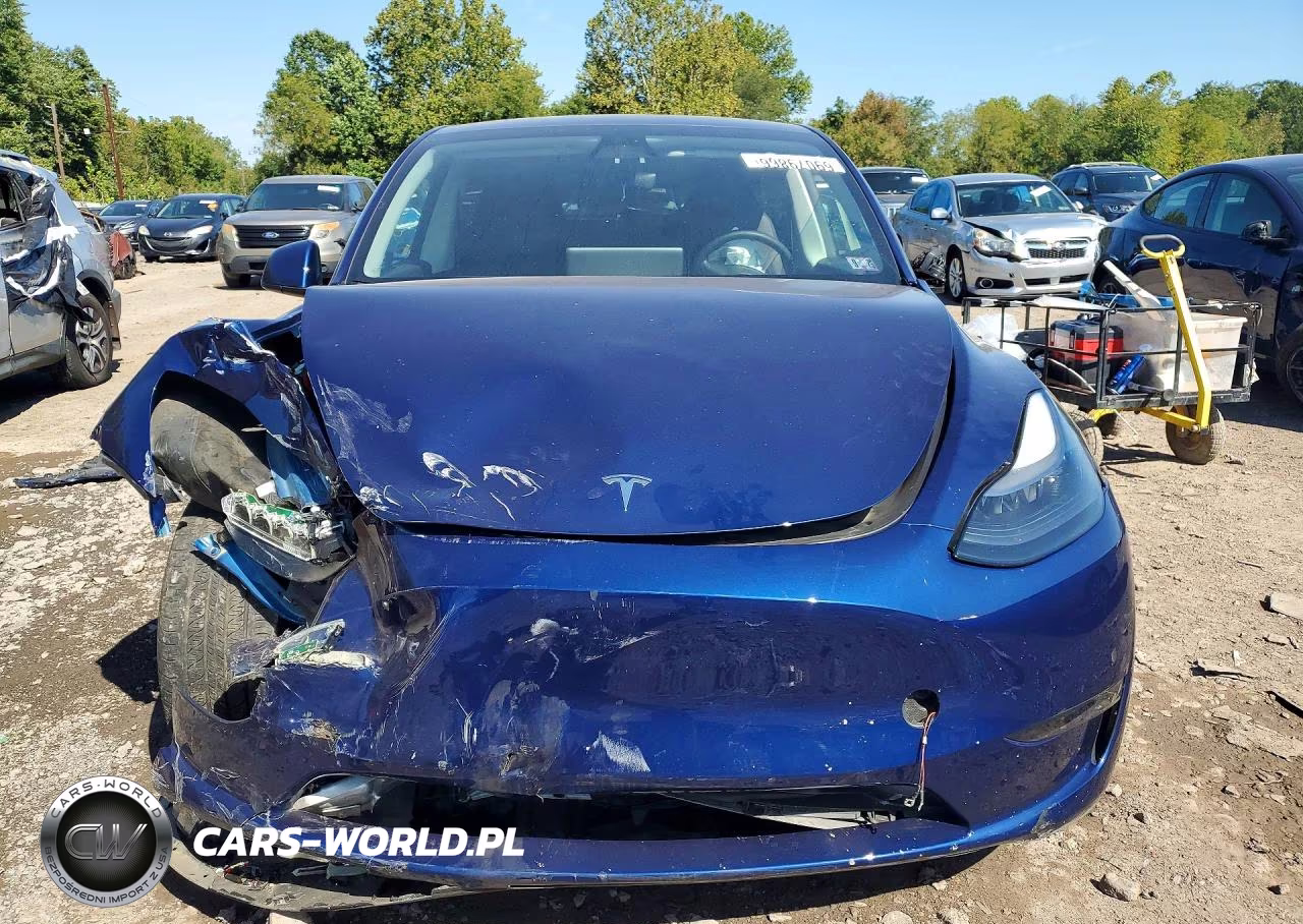 2023 Tesla Model Y VIN:7SAYGDEE5PF767335 - 5