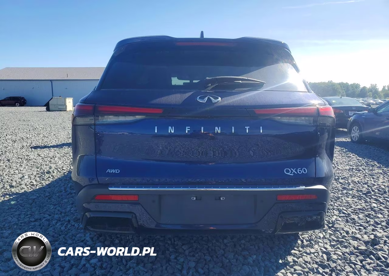2023 Infiniti Qx60 Luxe Awd VIN:5N1DL1FS5PC358769 - 6