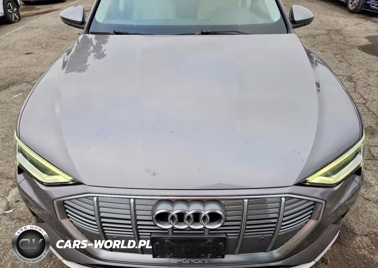 2019 Audi E-Tron Premium Plus VIN:WA1LAAGE8KB010522 - 12