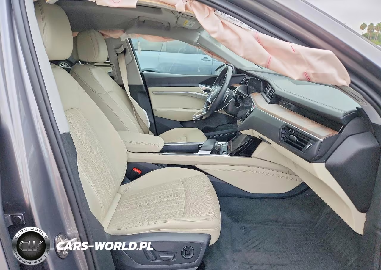 2019 Audi E-Tron Premium Plus VIN:WA1LAAGE8KB010522 - 7